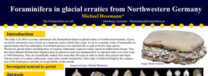 Glacial erratics foraminifera