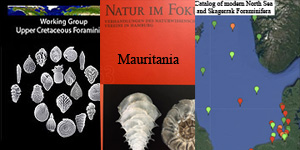 Foraminifera Projects