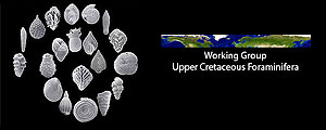 Upper Cretaceous Foraminifera, Forams